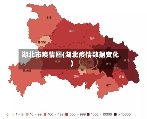 湖北市疫情图(湖北疫情数据变化)