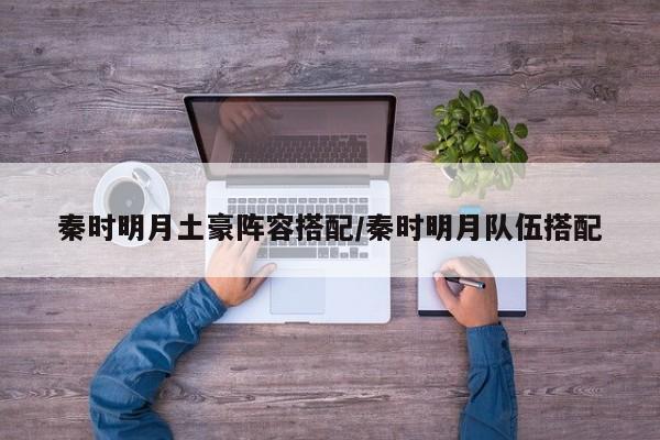 秦时明月土豪阵容搭配/秦时明月队伍搭配