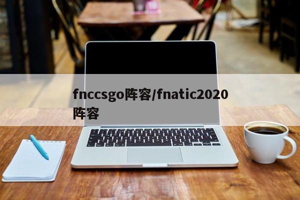 fnccsgo阵容/fnatic2020阵容
