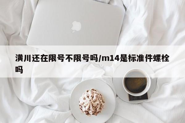 潢川还在限号不限号吗/m14是标准件螺栓吗