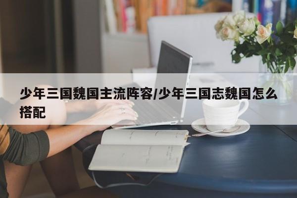 少年三国魏国主流阵容/少年三国志魏国怎么搭配