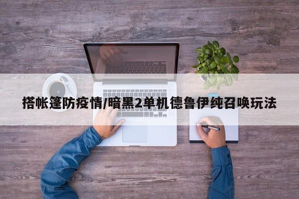 搭帐篷防疫情/暗黑2单机德鲁伊纯召唤玩法