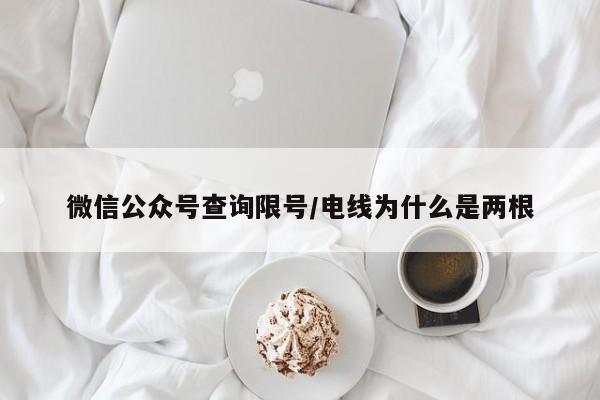 微信公众号查询限号/电线为什么是两根