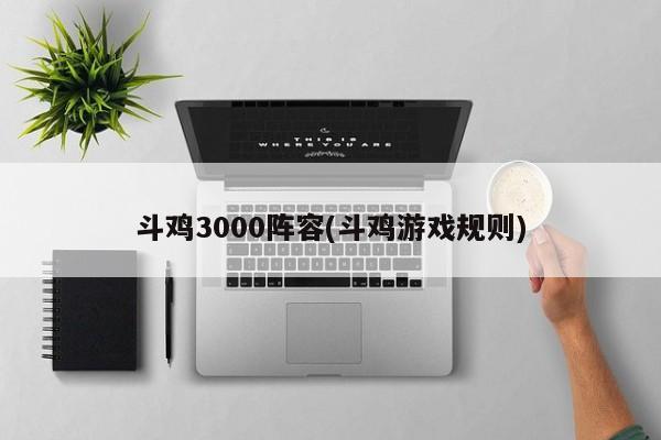斗鸡3000阵容(斗鸡游戏规则)