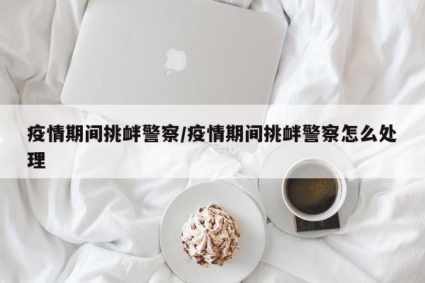 疫情期间挑衅警察/疫情期间挑衅警察怎么处理
